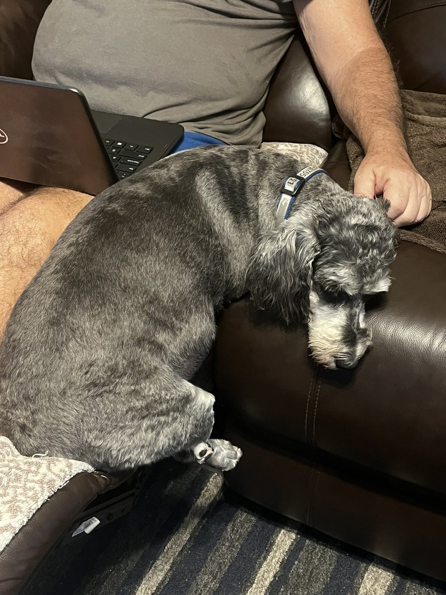 After storm mom dad and me are checking in safe after Hurricane Ian.  Even my doggy park pals are all ok. Me sleeping during the storm.
