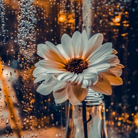 Alialvi372's tweet photo. #NewProfilePic https://t.co/DYRza88V1j