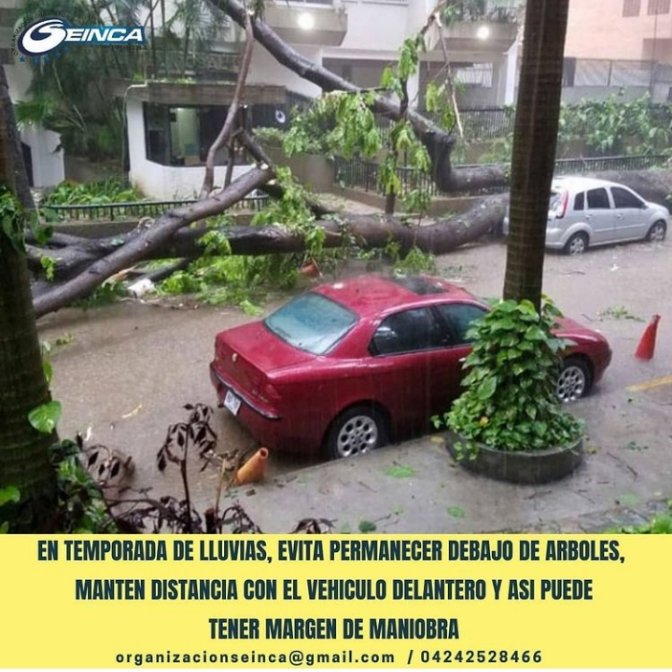 orgseinca's tweet photo. Al conducir en periodos de lluvia con fuertes vientos,debemos estar alertas con el entorno y evitar circular en zonas de altos árboles.
#Prevención #Lluvias #emergencias #seguridadvial https://t.co/oxoe0baSDZ