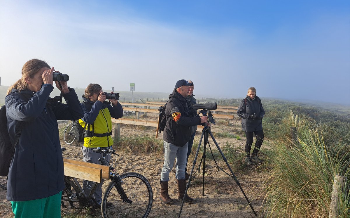 hhdelfland's tweet photo. Tijdens de duinwandeling en de vogelexcursie hebben we kunnen genieten van de prachtige #duinen die ons gebied beschermen tegen zeewater. Gezien: vogels, geiten en zelfs een ree! Dit weekend is er nog meer te doen > https://t.co/bJ286WLPu7 @nphollandsduin #weekvannphd #ontdeknphd https://t.co/dcf8Vws4Ca