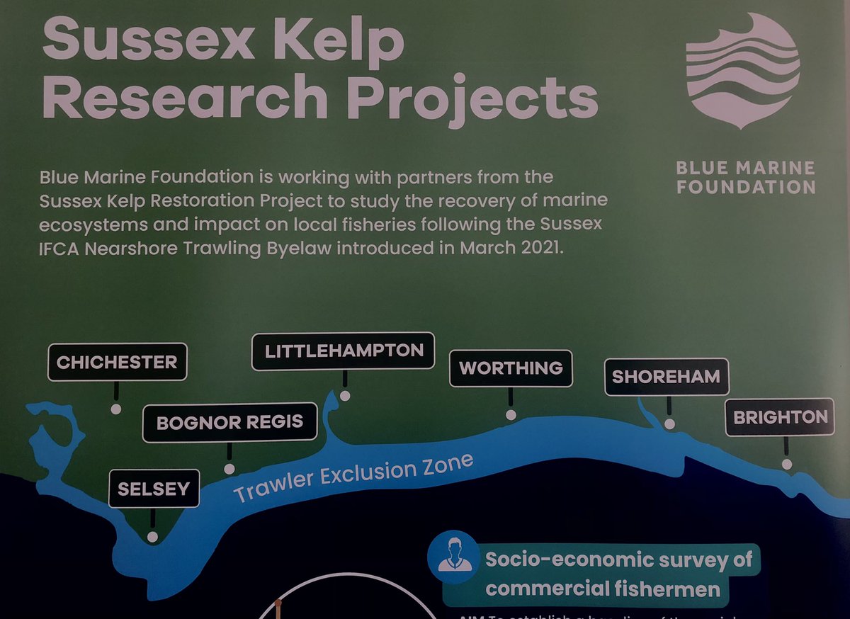 It’s Sustainability Week at @shorehamport. Great stuff from the @Bluemarinef Sussex Kelp Restoration Projects - pioneering marine conservation efforts to protect our coastal habitats for a sustainable fishing future. 🐬🐟 #SWSP22 #HelpOurKelp