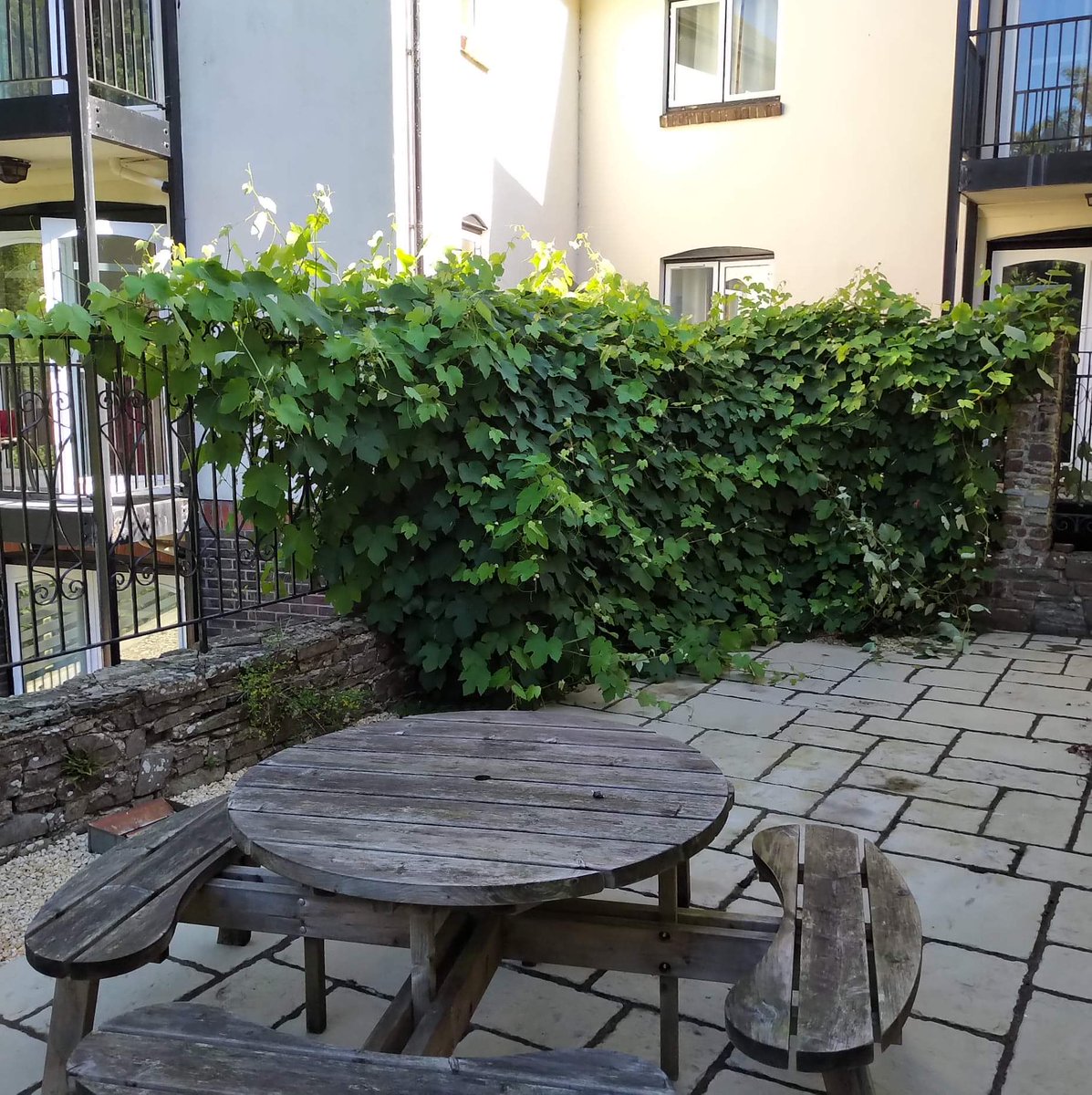 Fran Traxton tweet media