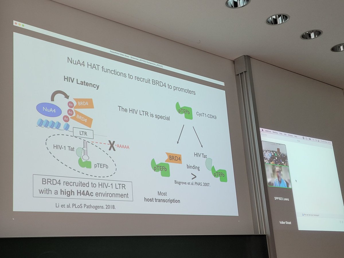 SPP_1923's tweet photo. Our last speaker of today's final #SPP1923 session is Michael Emerman (@memerman) on "High throughput CRISPR screens for host factors involved in HIV replicationand latency" (virtual)

@fredhutch https://t.co/bB9meS53pF