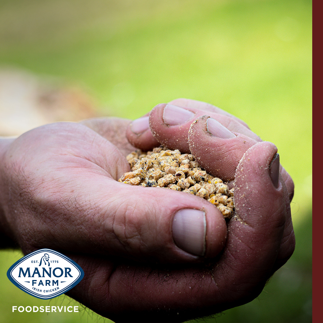 We ensure that all the raw materials sourced for our chicken feed are from sustainable farms with 100% traceability. 
.
.
.
#ManorFarm #ManorFarmFoodservice #ManorFarmFS #Foodservice #IrishChicken #Chicken #ShopIrish #ShopLocal #SupportIrish #SupportLocal