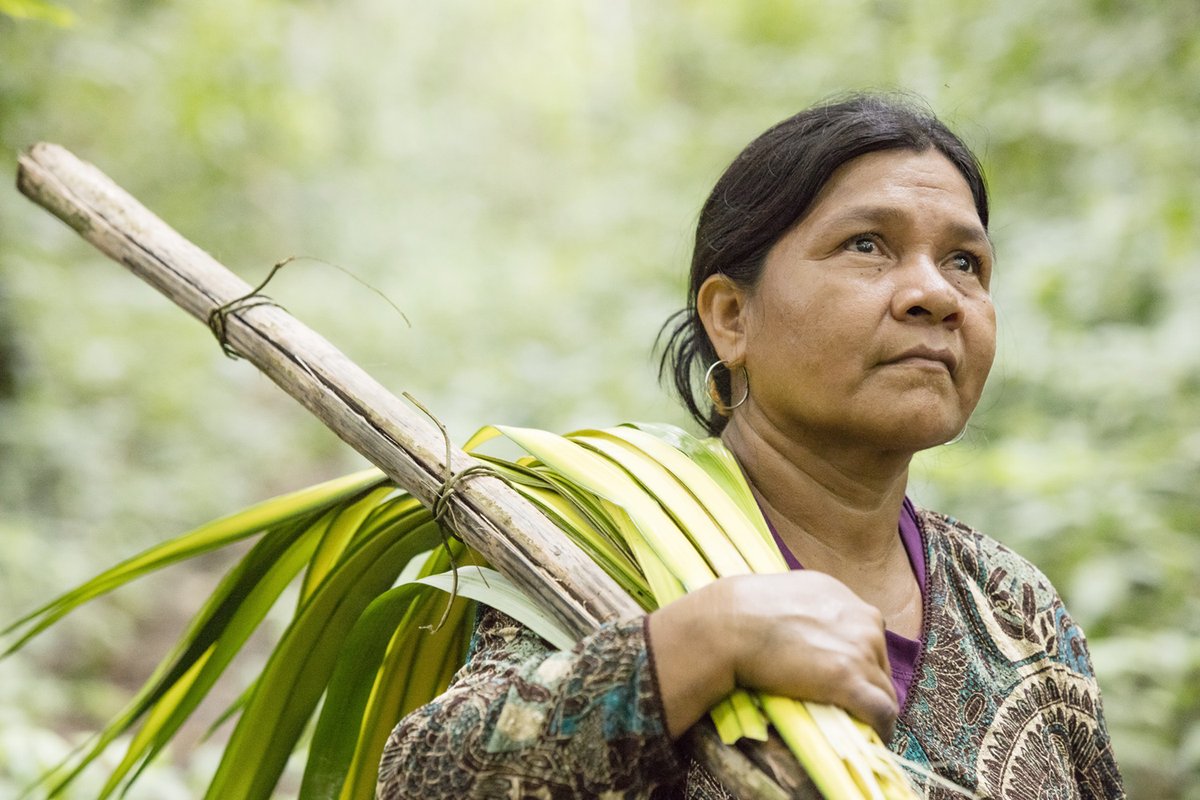 Recommendations - local/national level: more effective climate action can be achieved through securing rights to Indigenous territories & supporting customary institutions 5/10 @Indigenous_ca