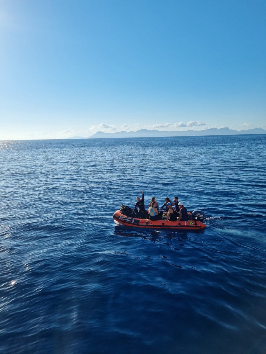 gemar_ieo's tweet photo. Comenzamos el nuevo curso descubriendo el #MicroMundo de #ESMARES
Cada semana os presentaremos una selección de imágenes de especies marinas de las muestras de raspado de roca recolectadas durante las campañas de buceo 🤿 en el infralitoral rocoso
(1/3)
#ViernesDeMicroMundo https://t.co/Jp1cjLBIV3