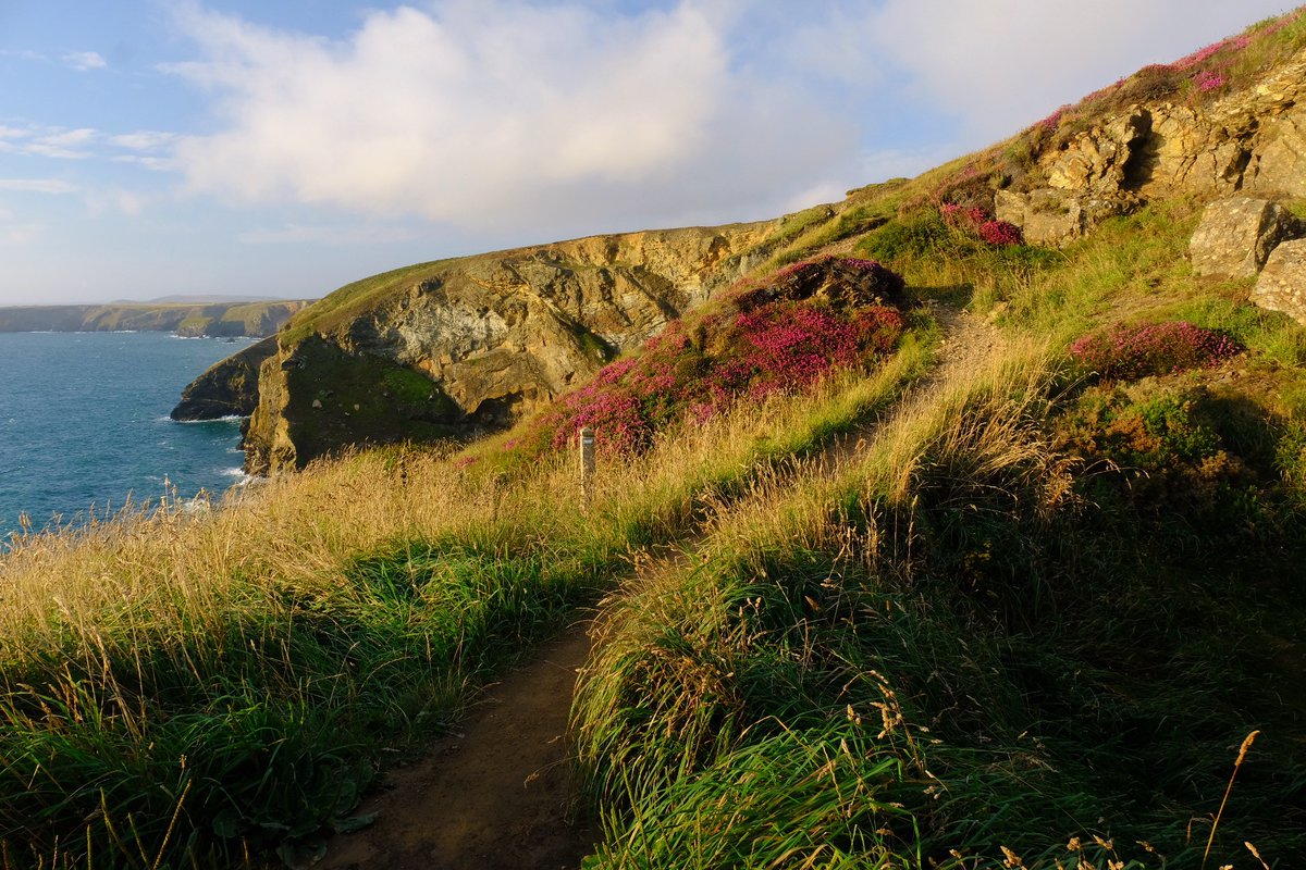"Having a route that’s marked for you gives you the time to let your mind wander into an almost meditative state and notice what’s around you. The coast paths have been brilliant for that" 

➡️🥾🌊💚
#CoastPathCountdown #EnglandCoastPath