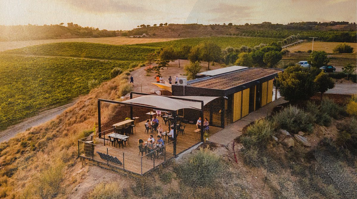 RaimatVinos's tweet photo. 🍽️✨ Top flight cuisine for dinner with wonderful views in the heart of nature 🍽️✨ You can have it all at our restaurant, managed by the team from Malena, the famous restaurant in Lleida that has been awarded a Michelin star. 
 
Do you fancy it? Book here: 973 74 85 23 https://t.co/B4x2qpPrt3