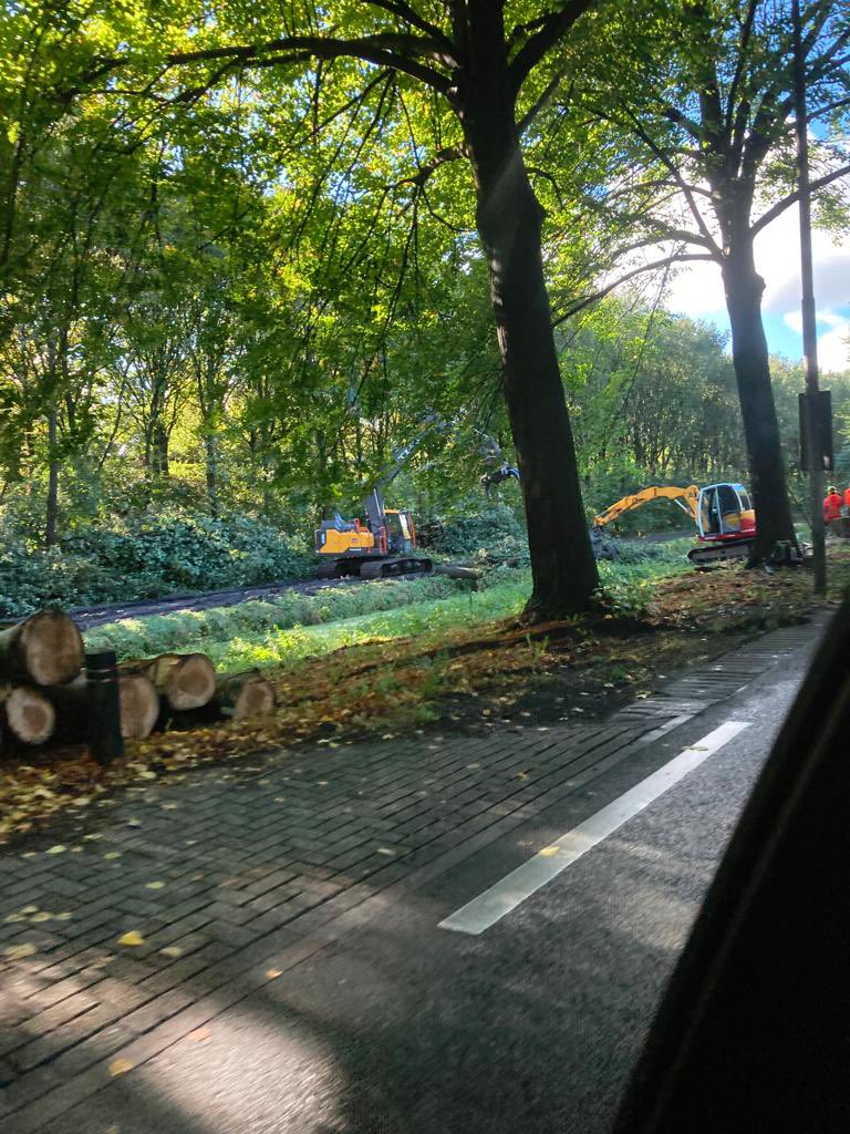 2u_pal's tweet photo. Rigoureuze bomenkap entree Stichtseweg #blaricum #bijvanck voor #HOV.
@hartvblaricum was nooit voorstander voor bussen door woonwijken. Aantal te kappen bomen zou max 6 bedragen. Nu 11 door #provincie gekapt! Deze muis gaat een politieke staart krijgen! https://t.co/Le93QQFjqv