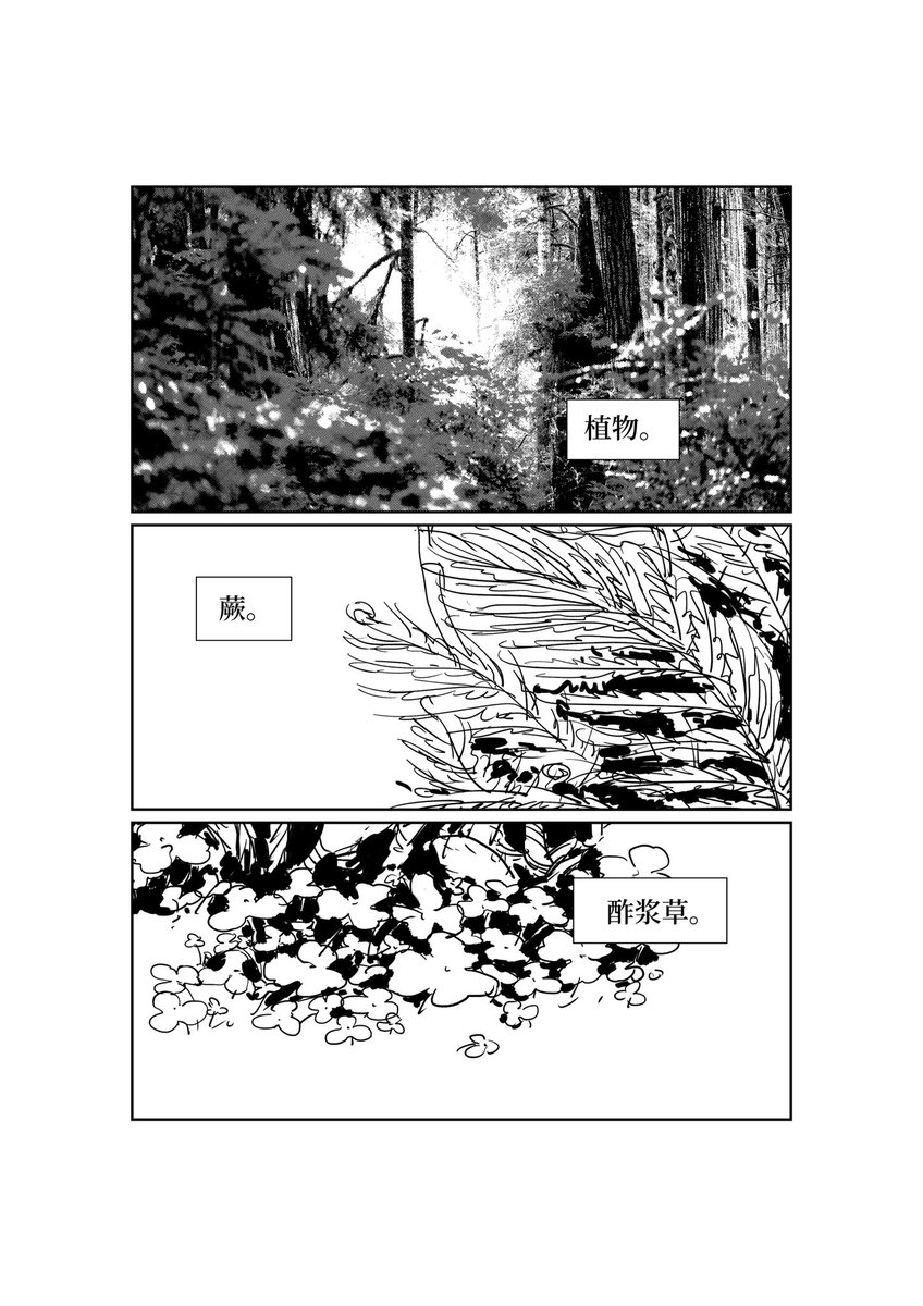 SHCCORALC1's tweet photo. 一点点复制粘贴灌水分镜 https://t.co/LyFAtfWwbt