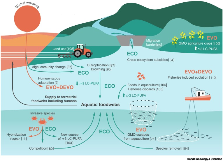 Shaun Killen (@shaunkillen) on Twitter photo Really happy about our paper just out in <a href="/Trends_Ecol_Evo/">Trends in Ecology & Evolution</a>, discussing anthropogenic effects on availability of key nutrients. Biomolecules like essential fatty acids may be just as important as energy for affecting phenotypes, fitness, and ecosystems. sciencedirect.com/science/articl… Really happy about our paper just out in <a href="/Trends_Ecol_Evo/">Trends in Ecology & Evolution</a>, discussing anthropogenic effects on availability of key nutrients. Biomolecules like essential fatty acids may be just as important as energy for affecting phenotypes, fitness, and ecosystems. sciencedirect.com/science/articl…