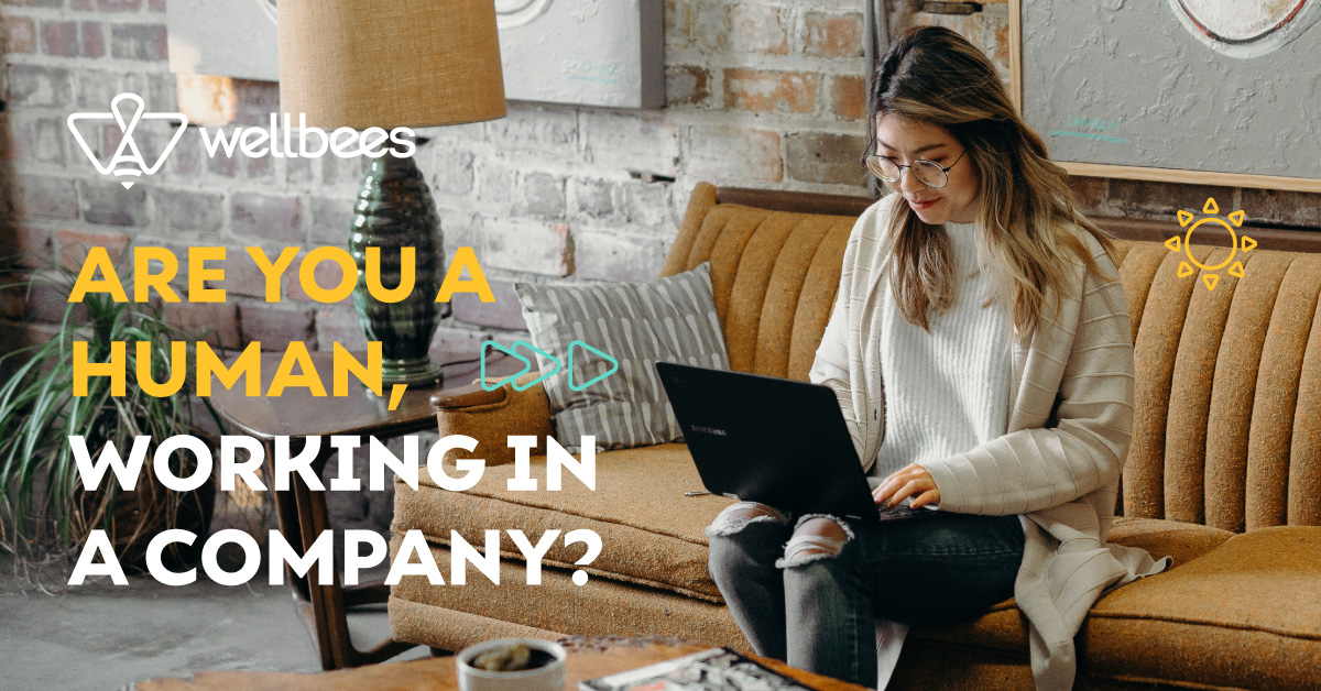 Wellbees tweet media