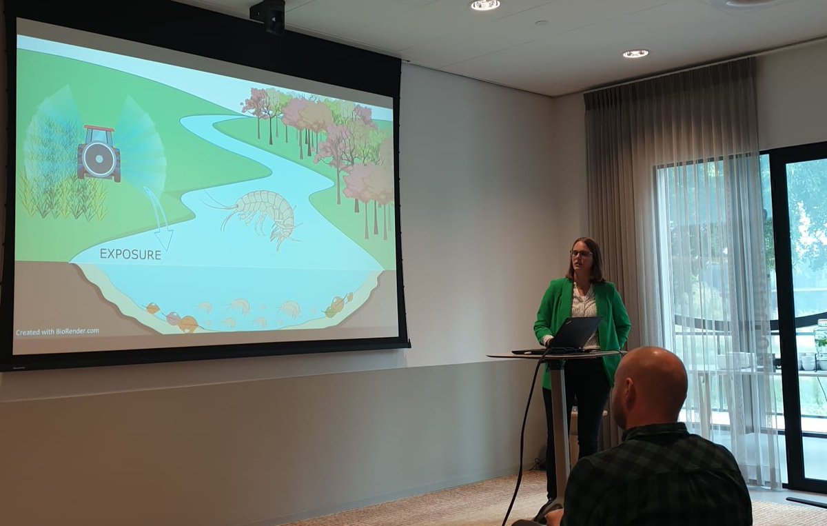 Finishing up the #effects work package is @nikagoldring21 presenting her research on #modelling temperature influences on chemical effects

#MarieCurious
#ECORISK2050