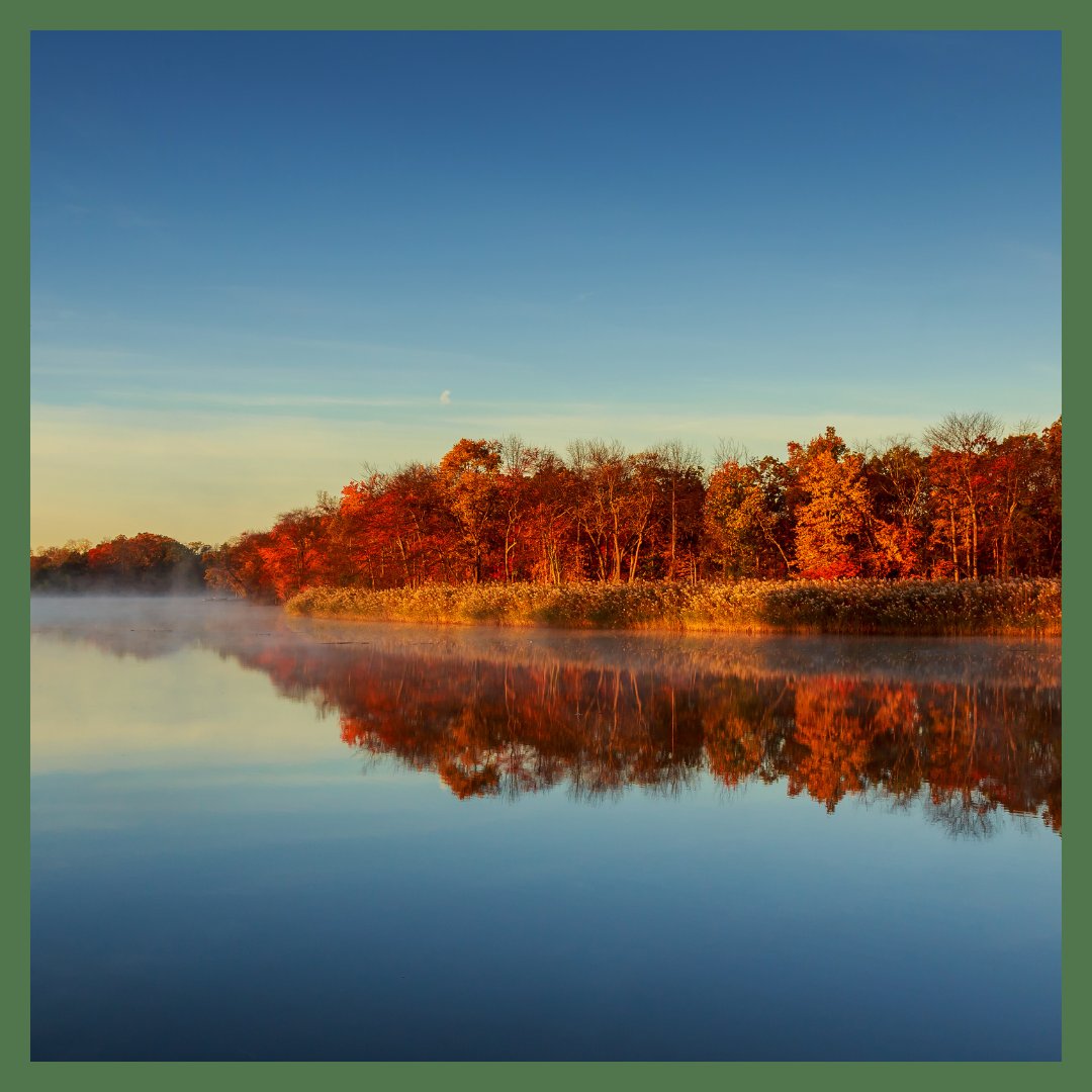 conistonloo's tweet photo. I’m feeling very tranquil staring at this lovely image of the lake in Autumn. 
Sometimes a lovely view is all we need in order to feel a sense of calm.
Which view makes you feel a sense of tranquillity?
#loowithaview #scenery #lake #conistonloo https://t.co/WtDhveKiu3