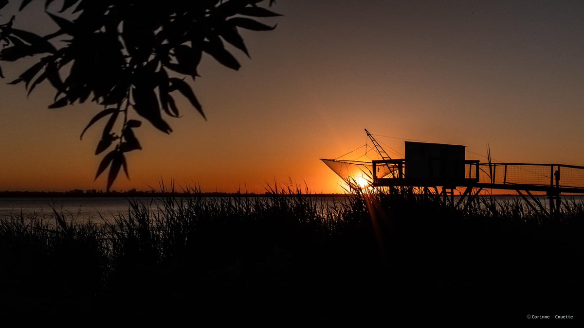 🌱L'estuaire de la #Gironde dans le TOP 10 des destinations écolos en #France du <a href="/guidespetitfute/">Petit Futé</a>: une destination idéale pour les amoureux du #vin autour de la merveilleuse cité historique de #Blaye 

👉bit.ly/destination-Bl…
©️📸Corinne Couette
#vinblaye #Tourisme <a href="/EscaleBlaye/">Blaye Tourisme</a>