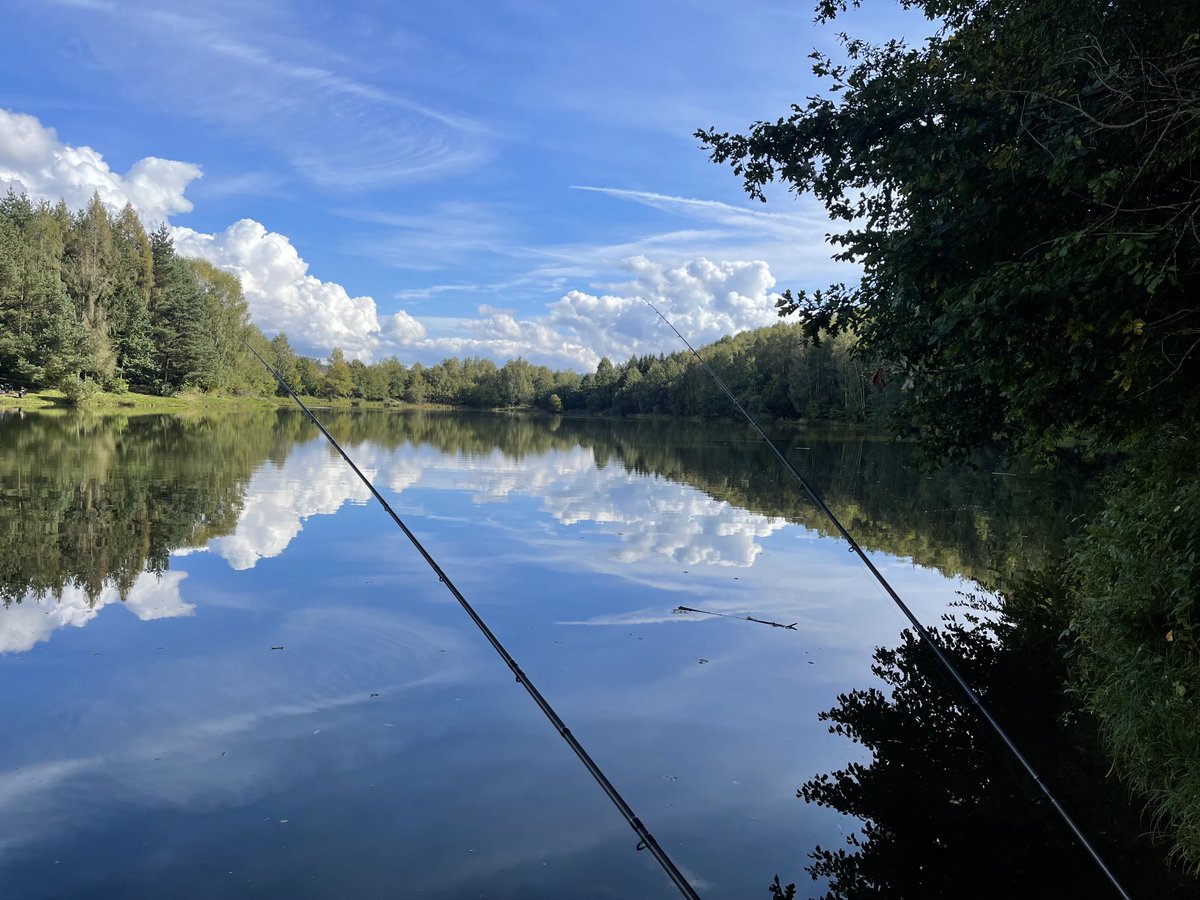 Fishlicker247's tweet photo. A beautiful autumn day, rods in and ready for a bite. Happy #fishing fellow anglers. https://t.co/IdhrpC4HVM