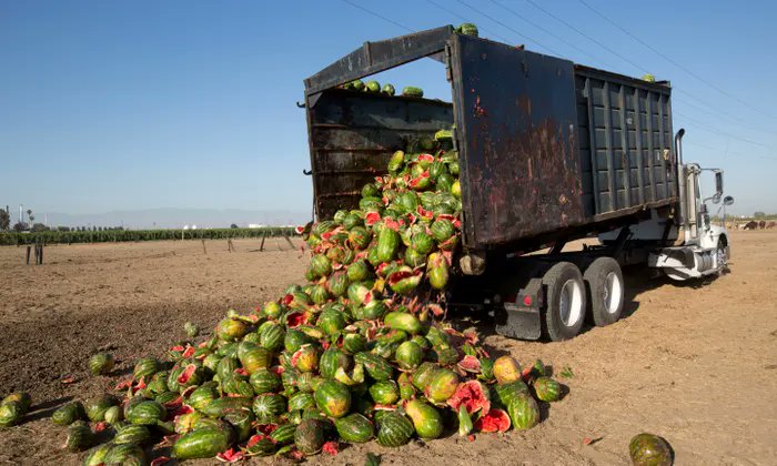 miketerungwa's tweet photo. Today is International Day of Awareness of #FoodLoss and #FoodWaste.While we waste food,subsaharan Africa countries depend on food import. Food imports arenโt a reliable solution to domestic agric problems plus #ClimateChange is making this worse.
We must #AvoidFoodWaste https://t.co/jcQRvrnOAa