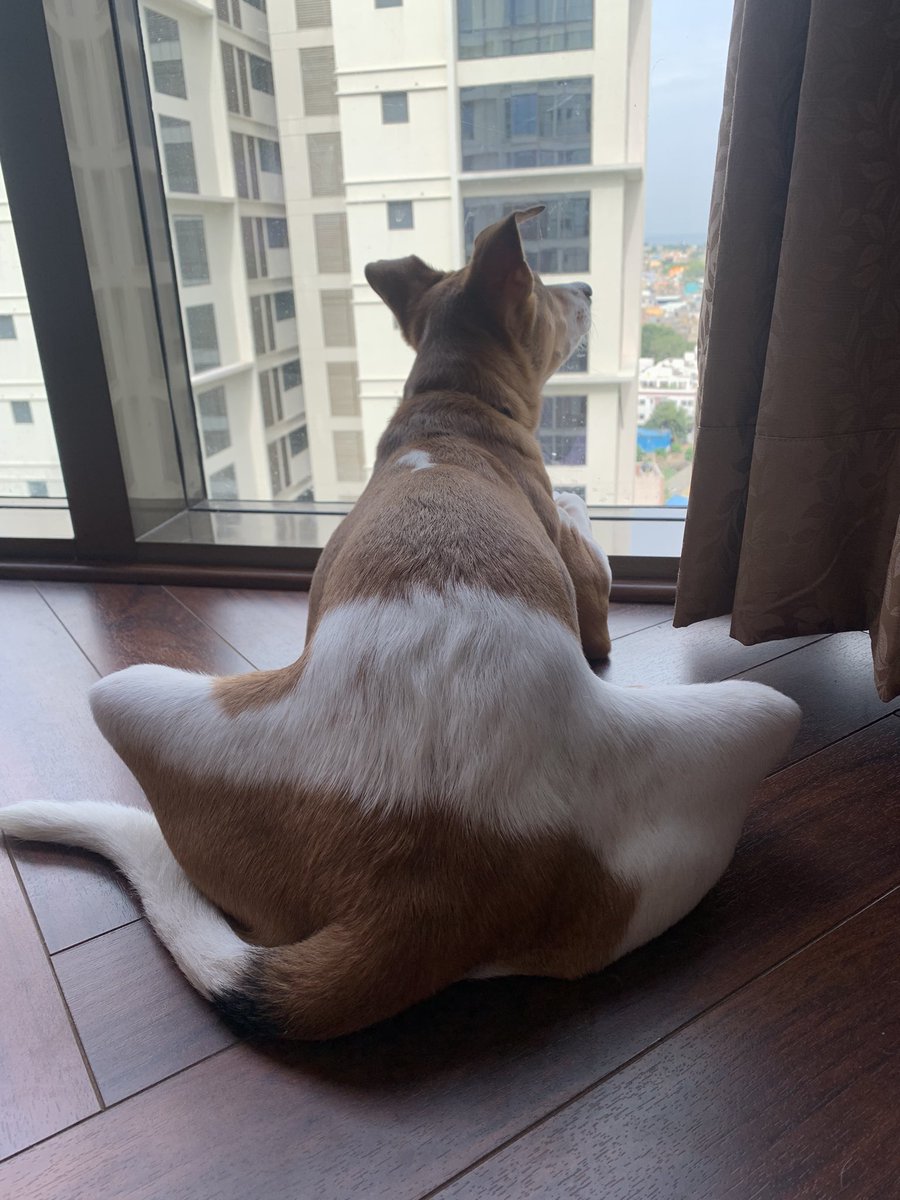 Falooly's tweet photo. #DailyDobby queen of sitting funny https://t.co/ZZpZbLhlEg