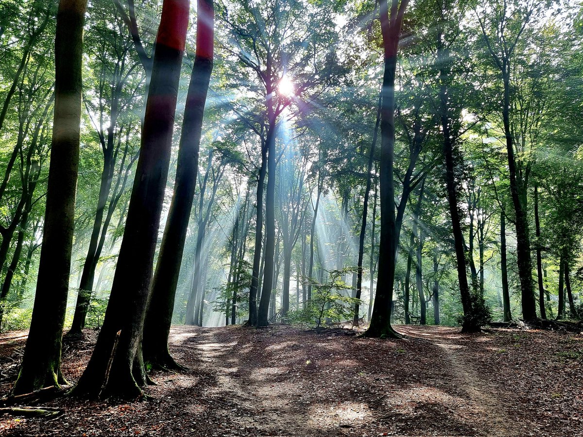 Park De Gulden Bodem in Arnhem.