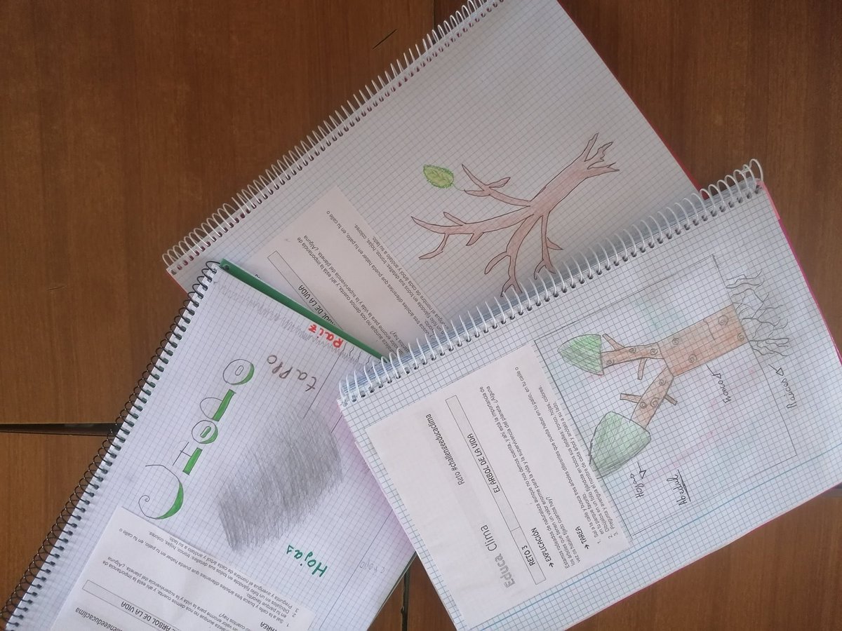 STrinidadZamora's tweet photo. 🌏 “El Cambio está en tus manos”: cinco días, cinco retos

✅En marcha el Reto 3. "El árbol de la vida"
#ODS2030 n° 15. Vida de Ecosistema: el río Duero 

#ApS  🌿"Los Guardianes del Duero": conocer la flora

@F_Rei_Afonso e @iberdrola 
#challengeeducaclima
#AcogerLaVida https://t.co/NwN6ROKDoe