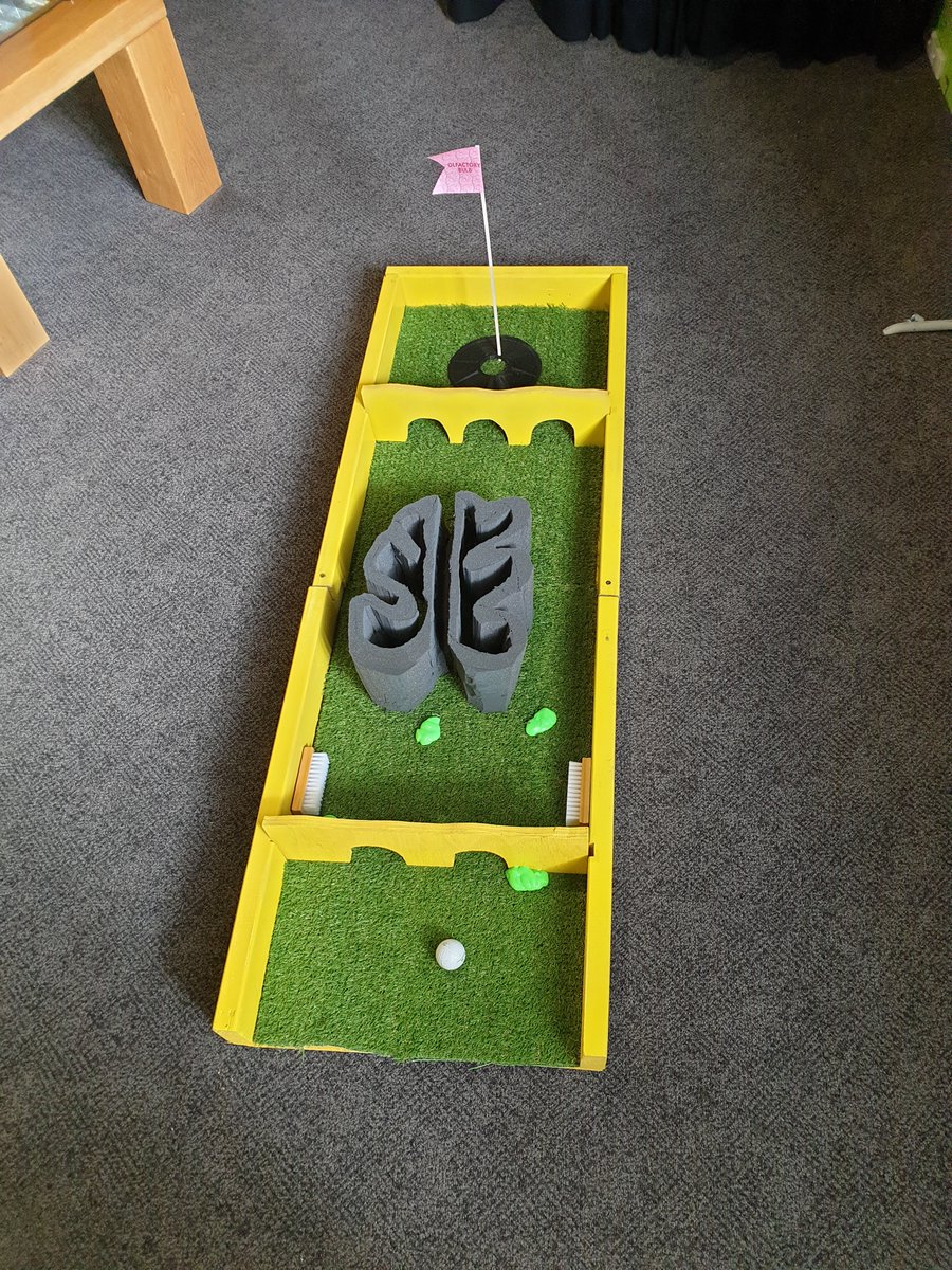 Emm_Cameron's tweet photo. I made nasal cavity minigolf! And then presented it in #questacon today!! So grateful to Questacon and #ANU as I start my journey as a #sciencecommunicator https://t.co/eN9uowOUTC