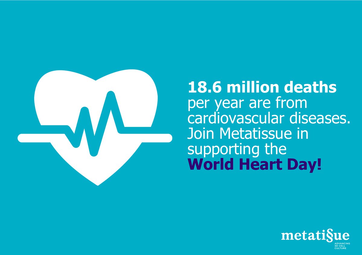 Today is World Heart Day, a global day raising awareness of cardiovascular diseases and the need for prevention and control.

At Metatissue, we believe that our platforms are ideal to advance the🫀research to a world that helps people live longer, better, and more heart-healthy.