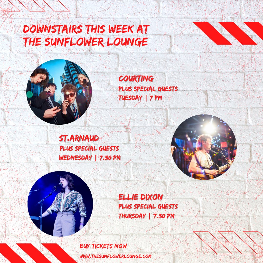The Sunflower Lounge tweet media