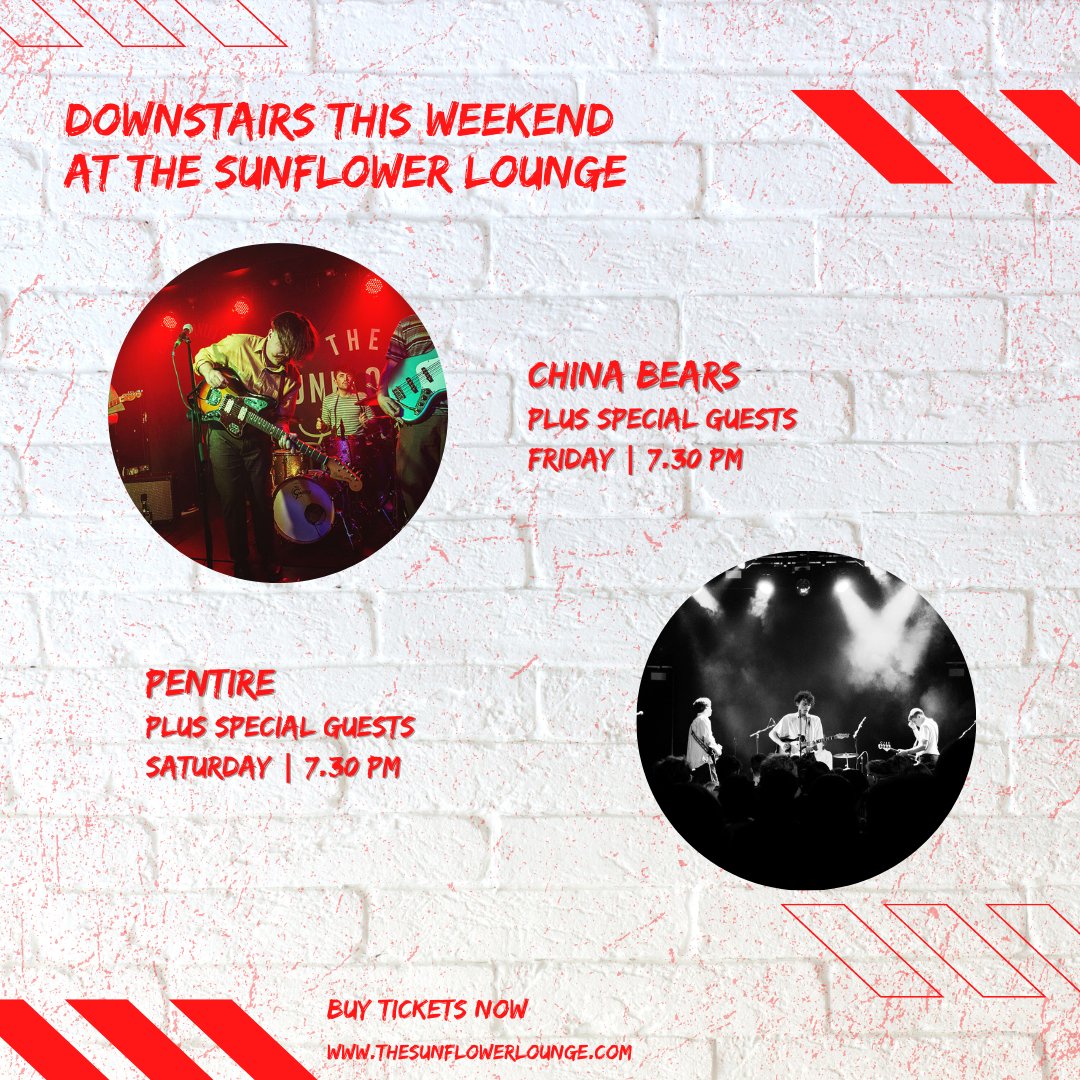The Sunflower Lounge tweet media