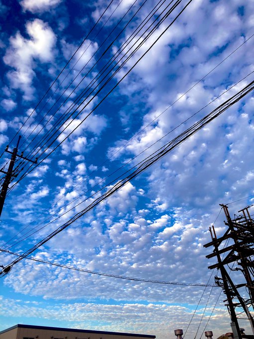 ところで本日の秋です もう秋って言っていいよね令和くん 