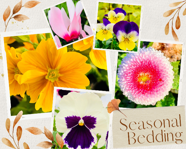 bow_gc's tweet photo. All you need to get inspired for Autumn... - https://t.co/DKFOpRYr1q https://t.co/F7em3CnP8S
