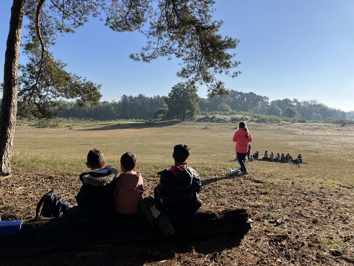 Na alle regen was het vandaag heerlijk in het bos. Groep 4 van de JFK genoot met me mee. #NatuurWijs, #buitenleren, #genieten