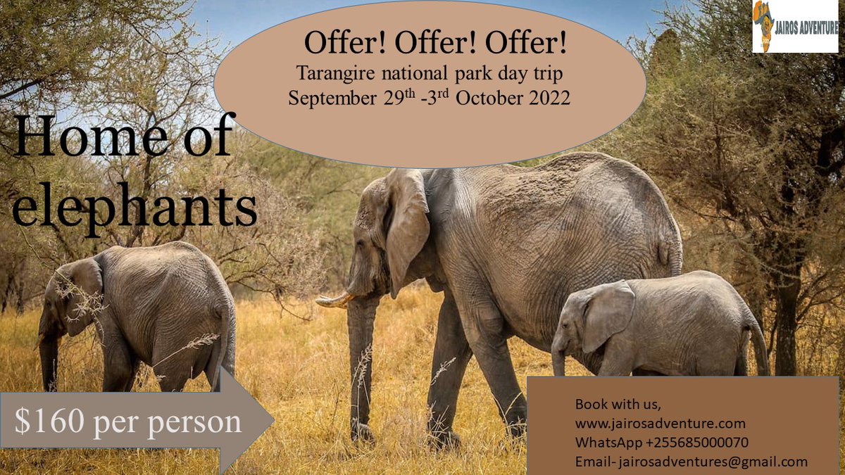 jairosadventur1's tweet photo. Tarangire national park day trip book with us!
#tarangirenationalpark #daytrip #tanzaniasafari #bawbawtrees #homeofelephants #beautyoftanzania #septemberoffer #bookwithus #jairosadventuretanzania #welovetravel #traveloffer #triptotanzania #amazingsafari https://t.co/MQzYwUP7PL
