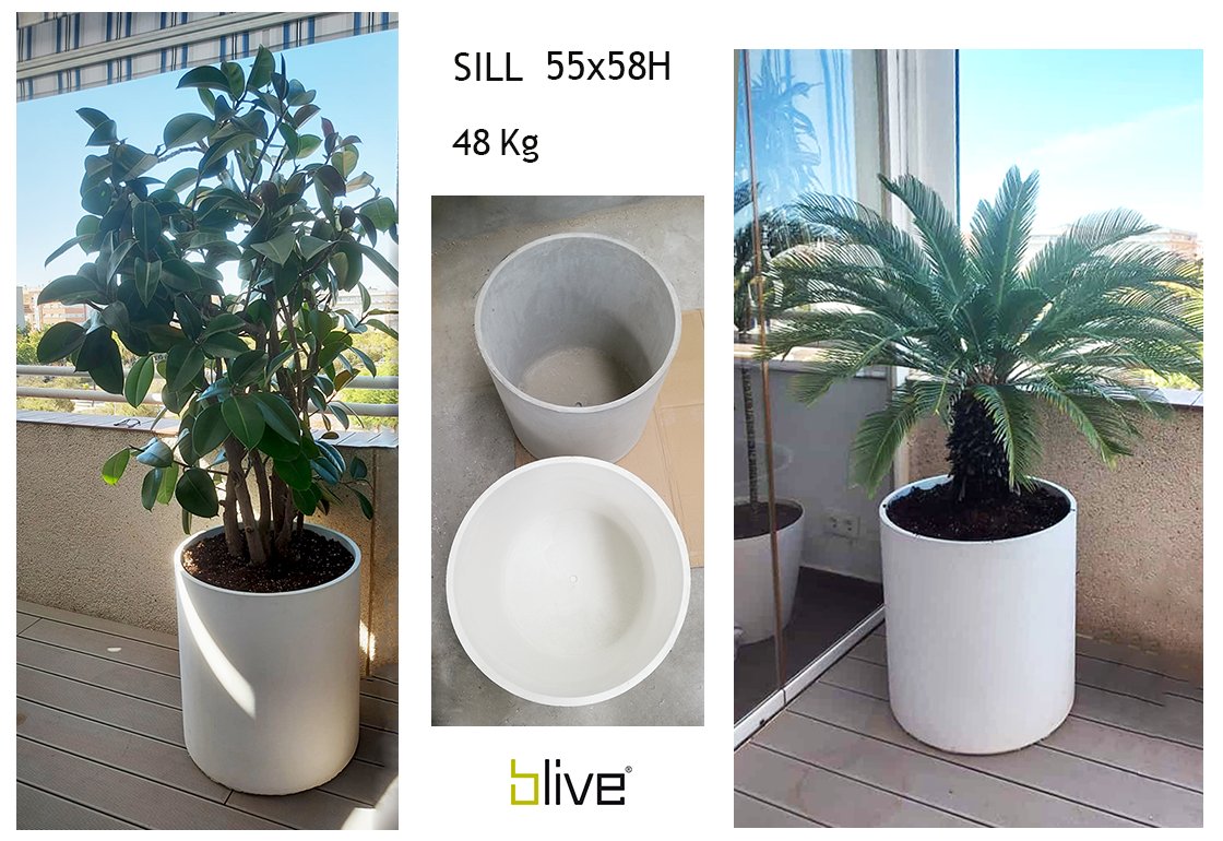 BliveOutdoor's tweet photo. 👉 Round Concrete Planter [Glass Fiber Reinforced Concrete]
🌿 Simplicity and Design

📧 geral@blive.pt

#roundplanter #roundpot #concreteplanter #Lightweightconcreteoutdoorround #maceteroredondo #macetaredonda #potrond #poteriedecorative #floreiraredonda https://t.co/tfPsMaNGGP