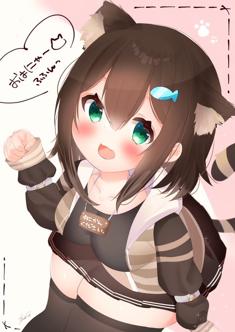 文野環ちゃん🐈🐟
#のらねっこあら 