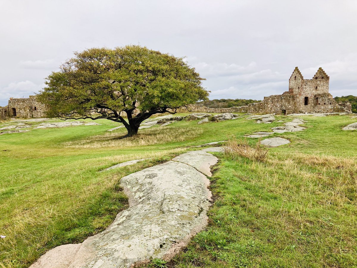 metabolady's tweet photo. Yesterday, we took a little break from all the great science at the #DDAPostdocSummit22 and went to visit Hammershus on Bornholm! Really nice to be out, and the castle is amazing -  totally recommend! Thanks #DanishDiabetesAcademy team organising this great event! https://t.co/fihg3yBctA
