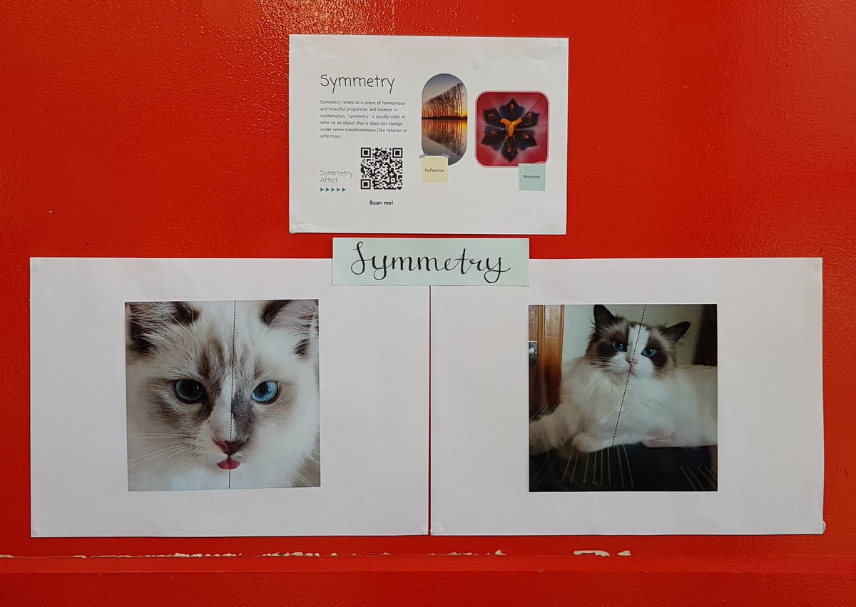 MrsP_maths21's tweet photo. The photography exhibition is continuing on for @mathsweekscot Make sure you take a look at the activities and scan the codes to find out more @StDavidsHS  Also, the mascot made an appearance again 🐙 https://t.co/Ojw2PfCEpw