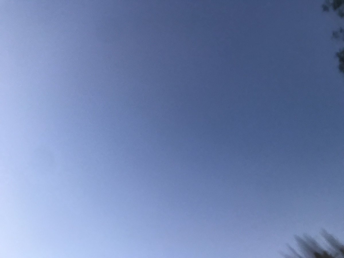 Maddantics (@pedxing66botley) on Twitter photo 