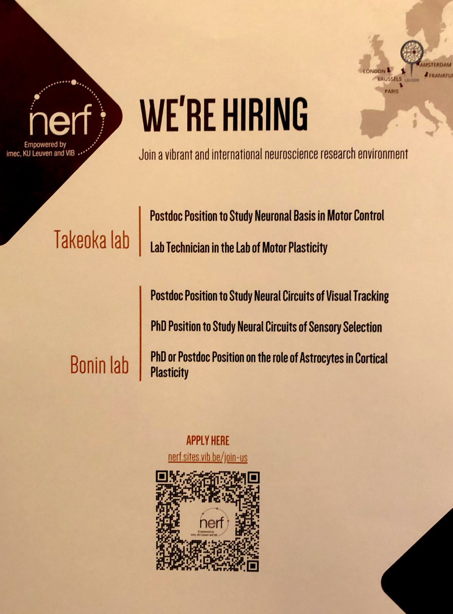 Clembrunner's tweet photo. [#Neurotech22 🧠🔬|#academicjobs]

Opportunities @__NERF 

@TakeokaLab is looking for one PostDoc &amp; LabTech to study motor control and plasticity🏃🏻‍♀️
@BoninLab is seeking for PhD students &amp; PostDoc to study visual tracking, selection selectivity &amp; cortical plasticity 👀

Pls RT 🔄 https://t.co/uqFsYzsPzl