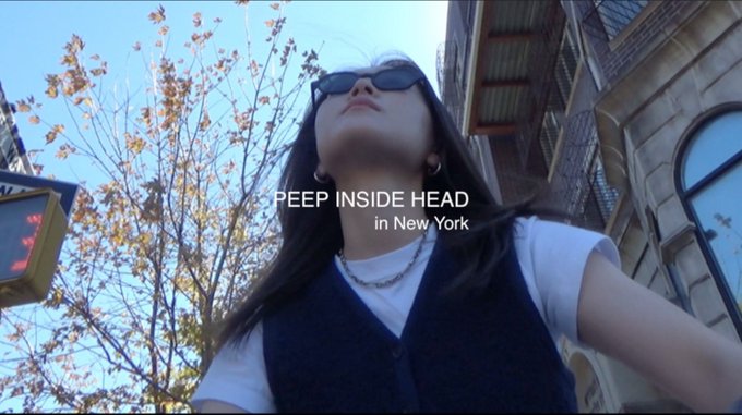 最新人気 peepinsidehead 柴田ひかりさん サングラス titanblack jsu