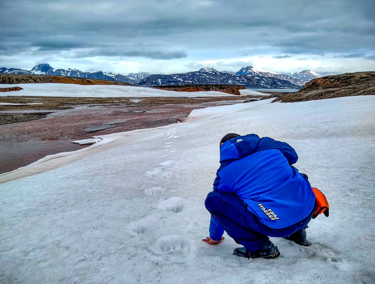 Leaving for the third mission in Svalbard!
<a href="/d_giovannelli/">Donato Giovannelli</a> <a href="/DrBradBrad/">James Bradley</a> <a href="/carlocar1273/">Carlo Cardellini</a>