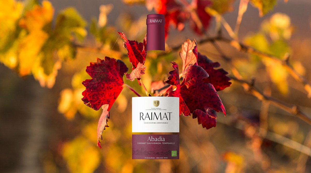 RaimatVinos's tweet photo. Molta fruita i un toc de vainilla i xocolata negra. Raimat Abadia està fet de cabernet sauvignon i ull de llebre 100% ecològic. Ha estat guardonat amb premis com la Gran Medalla d'Or🥇💚 als premis internacionals ECOVINO 2022.

El trobes aquí! https://t.co/fuMpVamQSe https://t.co/aHS4pte0T2