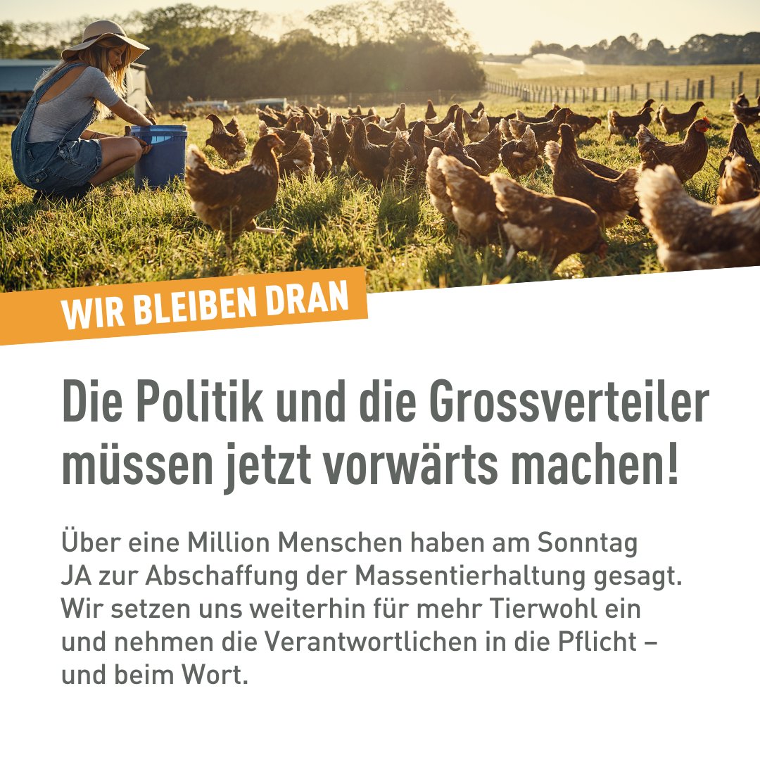 Initiative gegen Massentierhaltung tweet media