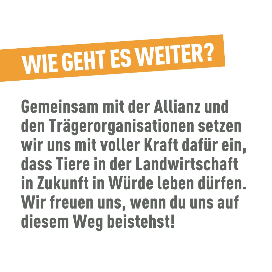 Über eine Million Menschen haben am Sonntag JA zur Abschaffung der Massentierhaltung gesagt. Jetzt braucht es verbindliche Massnahmen von den Grossverteilern und der Politik. <a href="/sbv/">Schweizer Bauernverband</a> <a href="/migros/">Migros</a> <a href="/coop_ch/">coop_ch</a>