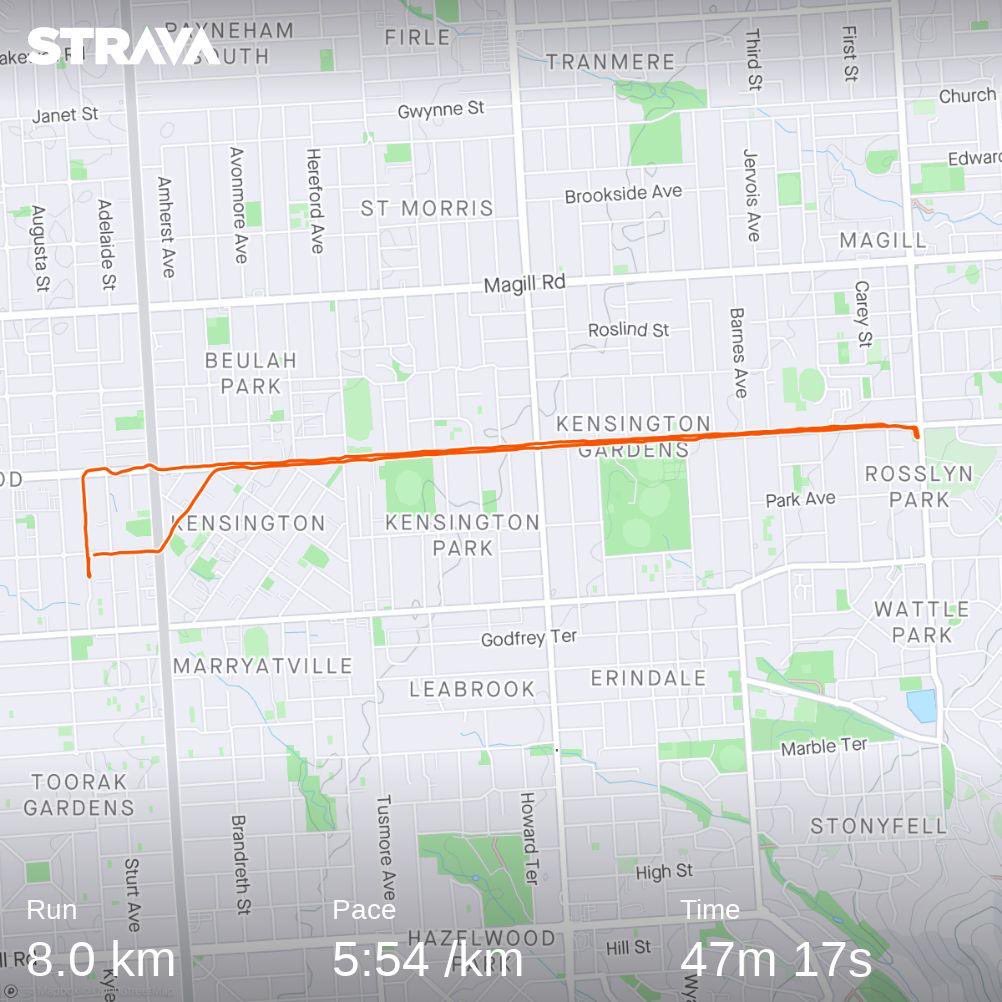 SamirMadi01's tweet image. Preventive measures now will save you heartache in the future.

Amazing 8km after work run! 🏃🏽😀

#AlwaysKeepMoving #Prevention #IsKey #Adelaide #Runner