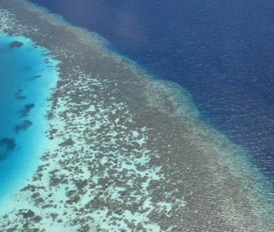 Dr_MTaylor's tweet photo. New @GlobalChangeBio paper - The Indian Ocean saw a 33% increase in populations within 100km of a coral reef and 71% at 5km in the last 20 yrs.  https://t.co/UOWODD4P7X @EssexLifeSci @AmySW13 @Dr_MTaylor https://t.co/alVEWMkxsv