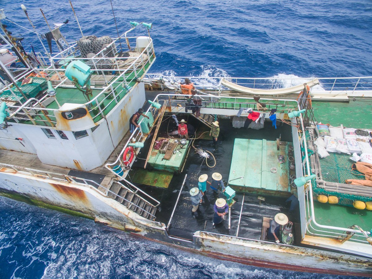 ORRAAnews's tweet photo. We are calling for additional players in the insurance sector to come on board and close the net even further.
Find out how: https://t.co/eu8qNmRa8H
#VesselViewer #IllegalFishing #IUU #NewYorkClimateWeek #BackBlue #GlobalFishingWatch #IUUFishing
Image courtesy of @tm_tracking https://t.co/HIPfVAL3E6