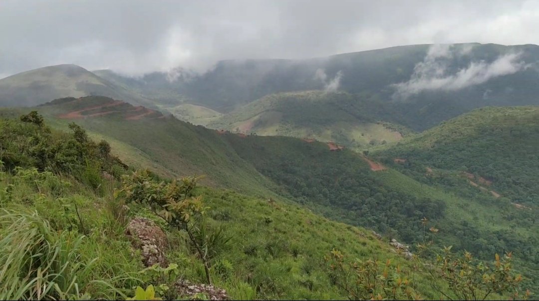 Dheeraj_rr's tweet photo. I'm asking those who love the outdoors to post a picture. A picture that YOU took. Just a pic. No description. The goal is to regain peace &amp; harmony without negativity. Please copy the text, put a picture on YOUR page &amp; let's look at these beautiful pictures. Here's mine… https://t.co/ScvFW5FWeW