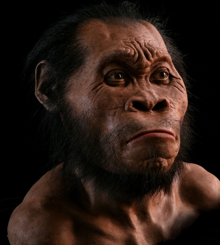 MaropengSA's tweet photo. Putting a face to a fossil: Meet John Gurche
#ThrowbackThursday #TBT #FaceToFace #Fossils #Hominins #HomoNaledi #AustralopithecusSediba #ParanthropusRobustus  #Maropeng #CradleOfHumankind #WorldHeritageSite 

Learn more : https://t.co/rvbczlaX9L https://t.co/FaP5ZvZeym
