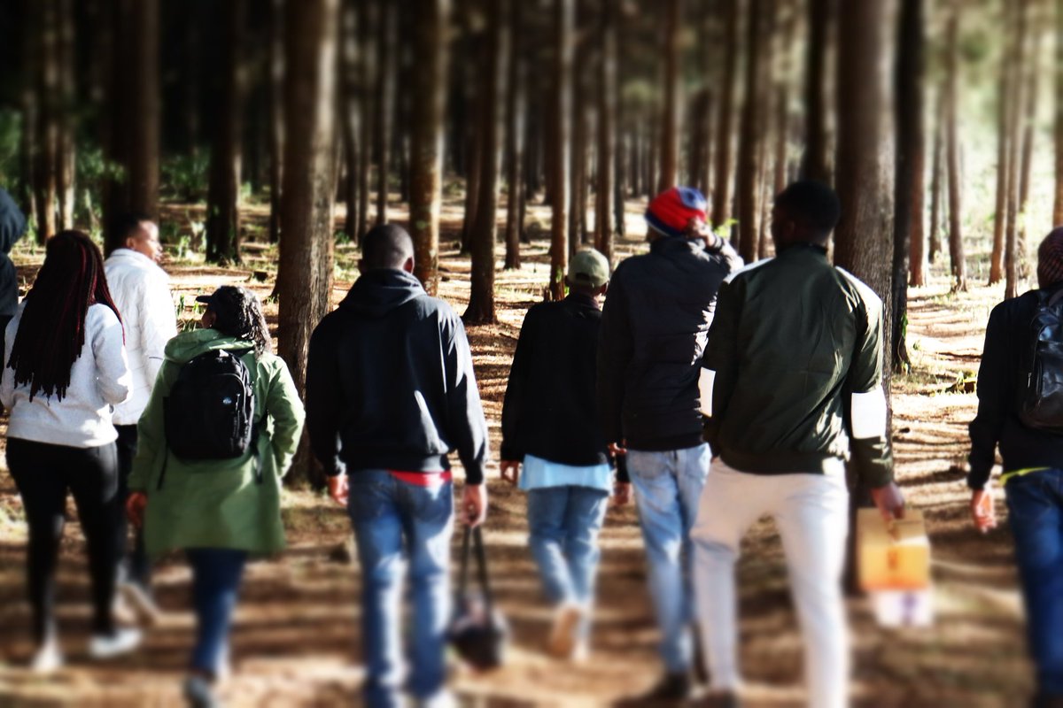 AfrikaFlora's tweet photo. The Dundori forest home for nature streams and springs.
#Floraafrika
#Changeisnow
#Friendsoftheenvironment
#Maketomorrowbetter
#Mygenerationmyassignment https://t.co/CwSgTrbBnJ