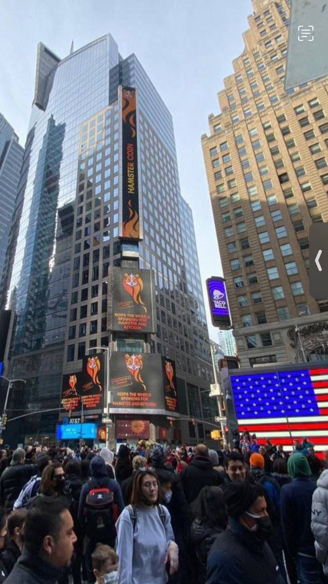 HamCommunityy's tweet image. #Hamstercoin